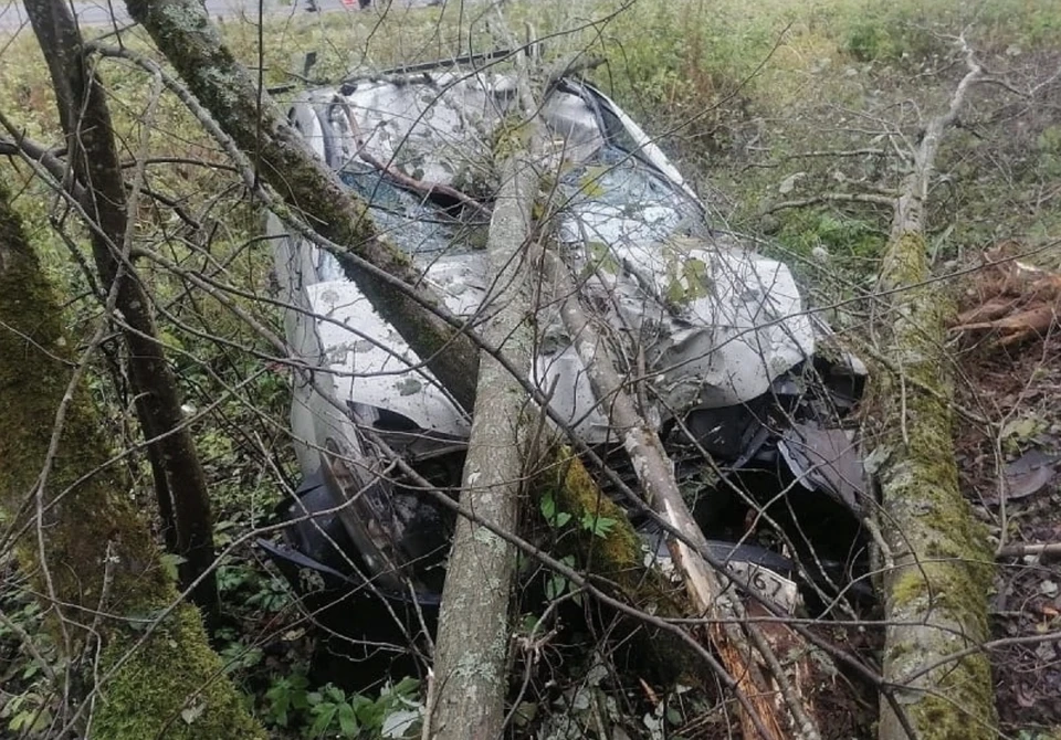 В Смоленской области водитель «Рено» сбил лося и оказался в больнице. Фото: «Инцидент Смоленск» в соцсетях.
