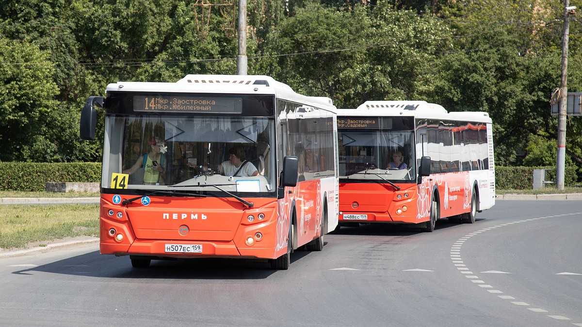 В Перми на трех автобусных маршрутах введут поздние рейсы - KP.RU