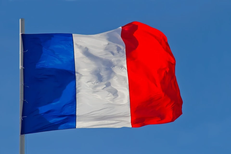 RMC: разведка Франции обвинила РФ в «обострении психоза» из-за нашествия клопов