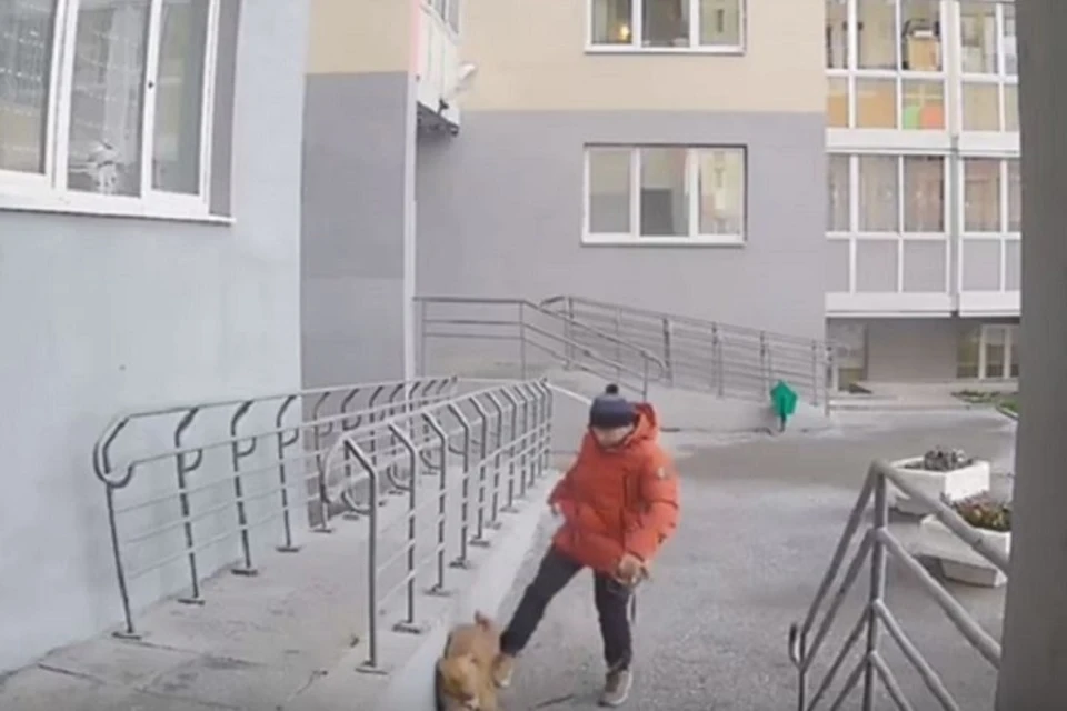 Фото: скриншот видео