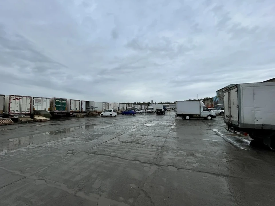 На рынке временно приостановлена торговля