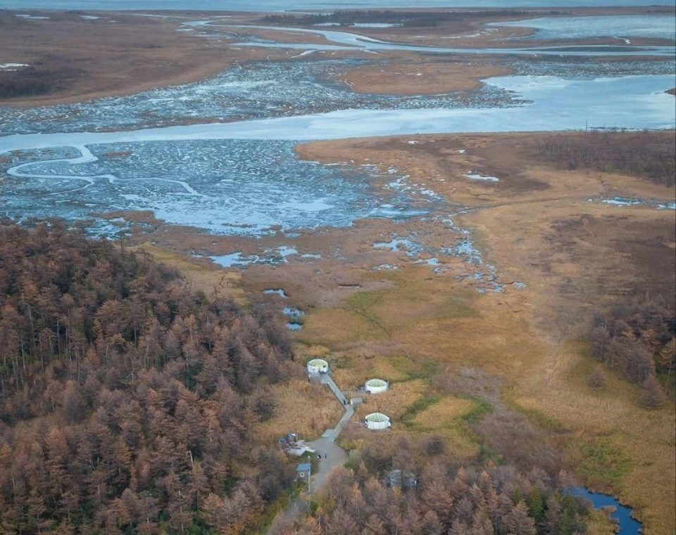 Фото: Сергей Андриенков