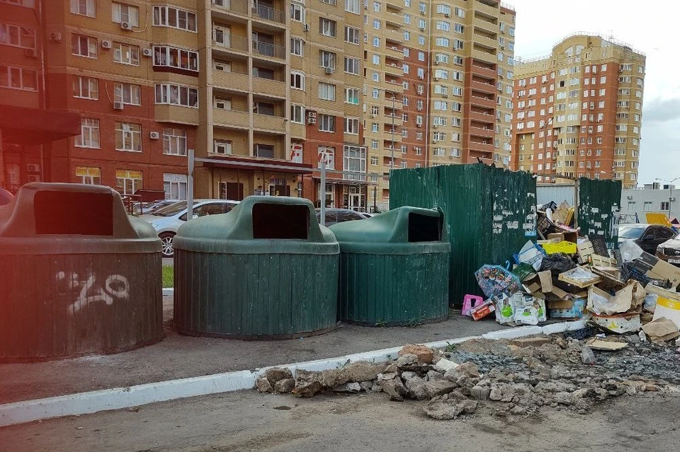 Видеокамеры будут фиксировать нарушителей, помогут выявить заваленные отходами площадки.