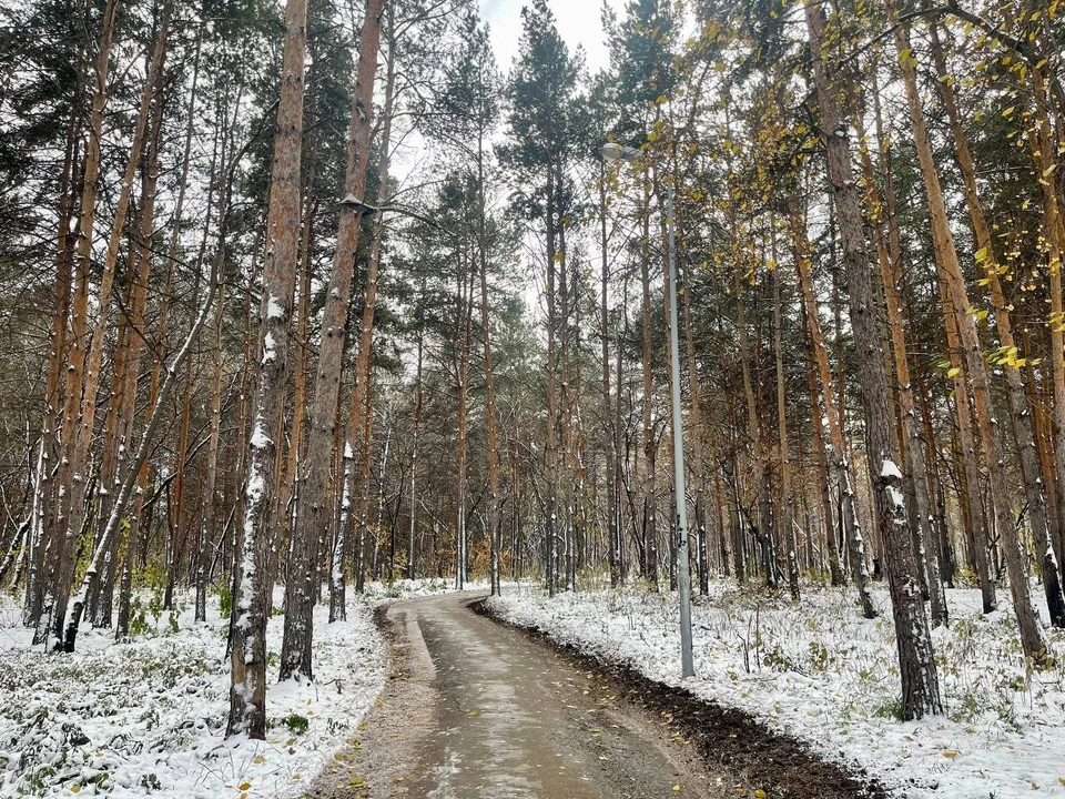 Фото: мэрия Челябинска