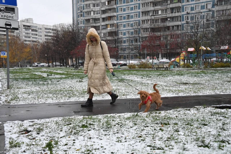 Снега в Москве стало меньше