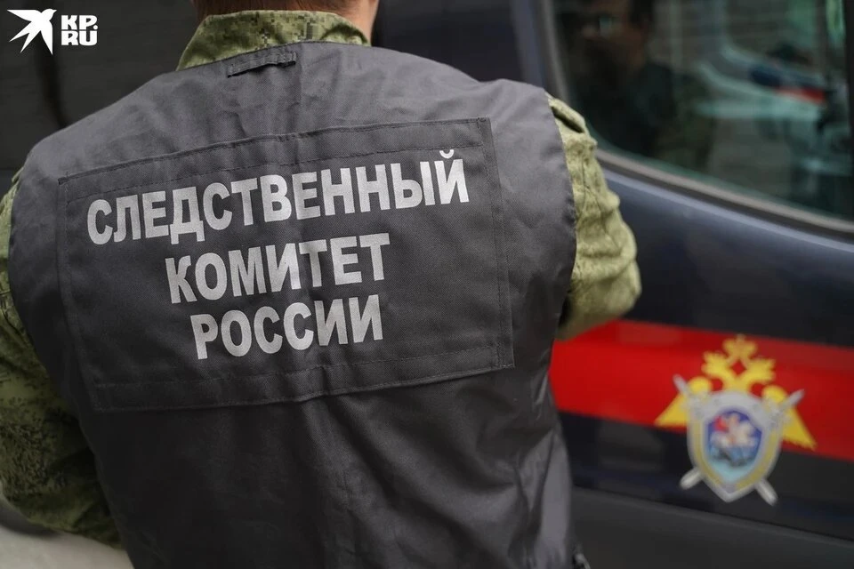 СК РФ: В Волновахе в ДНР застрелили семью из девяти человек