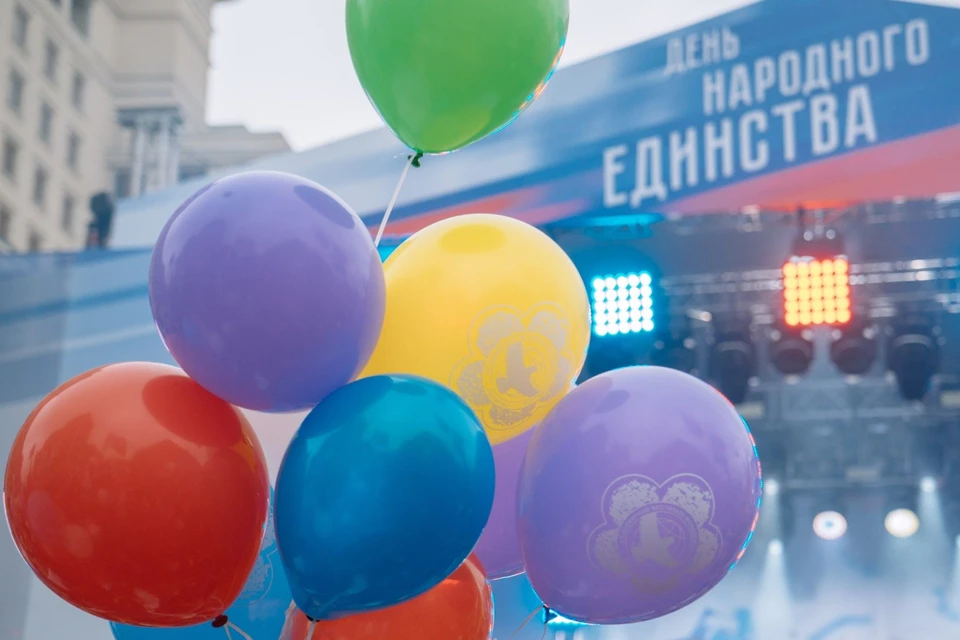 Ростовчане принимают участие в акциях, посвященных Дню народного единства. Фото: правительство Ростовской области