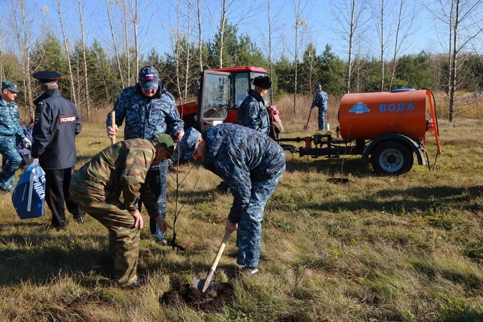 Рябиновую аллею заложили в Новом Осколе. Фото: с сайта УМВД России по Белгородской области.