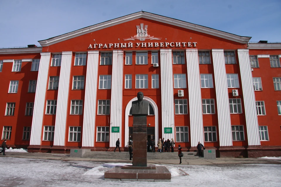 Конеферма долгое время существовала при аграрном университете