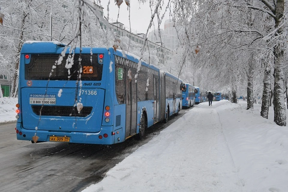 Расписание движения пригородных автобусов