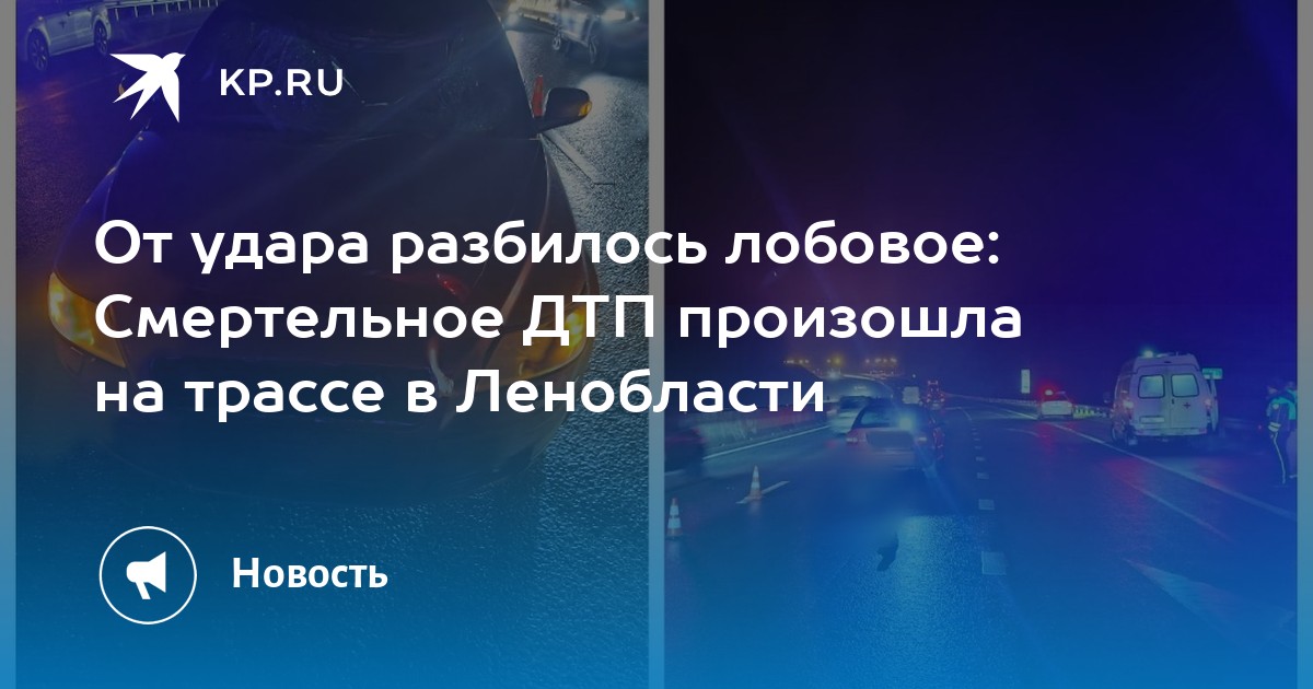 От удара разбилось лобовое: Смертельное ДТП произошла на трассе в ...