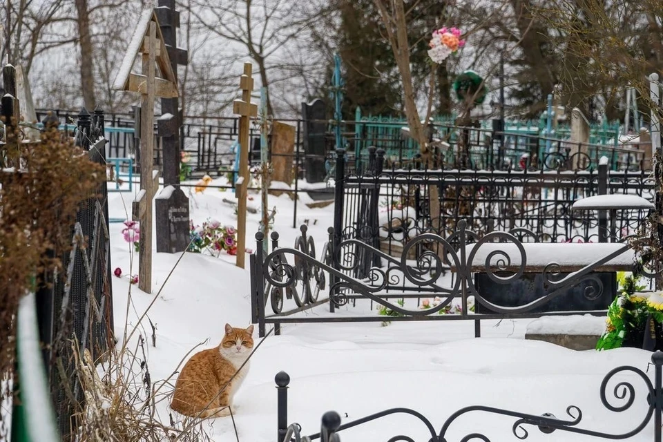 В Новосибирске на Гусинобродском кладбище появится участок для похорон военнослужащих.