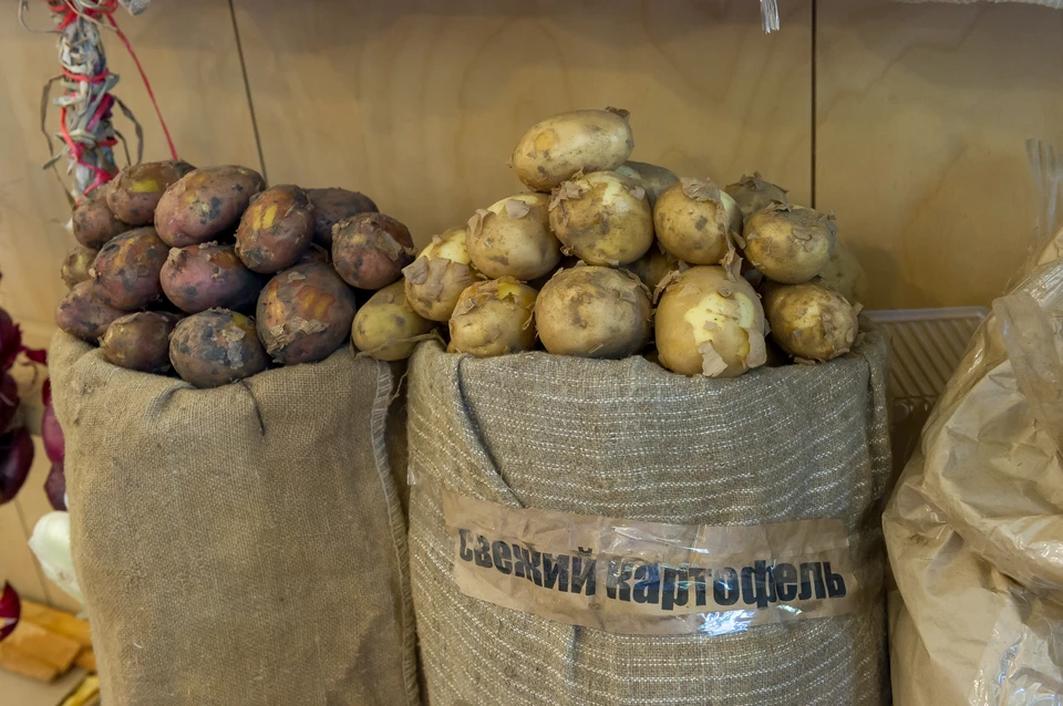 Годом ранее донские аграрии накопали 388,9 тысячи тонн картофеля