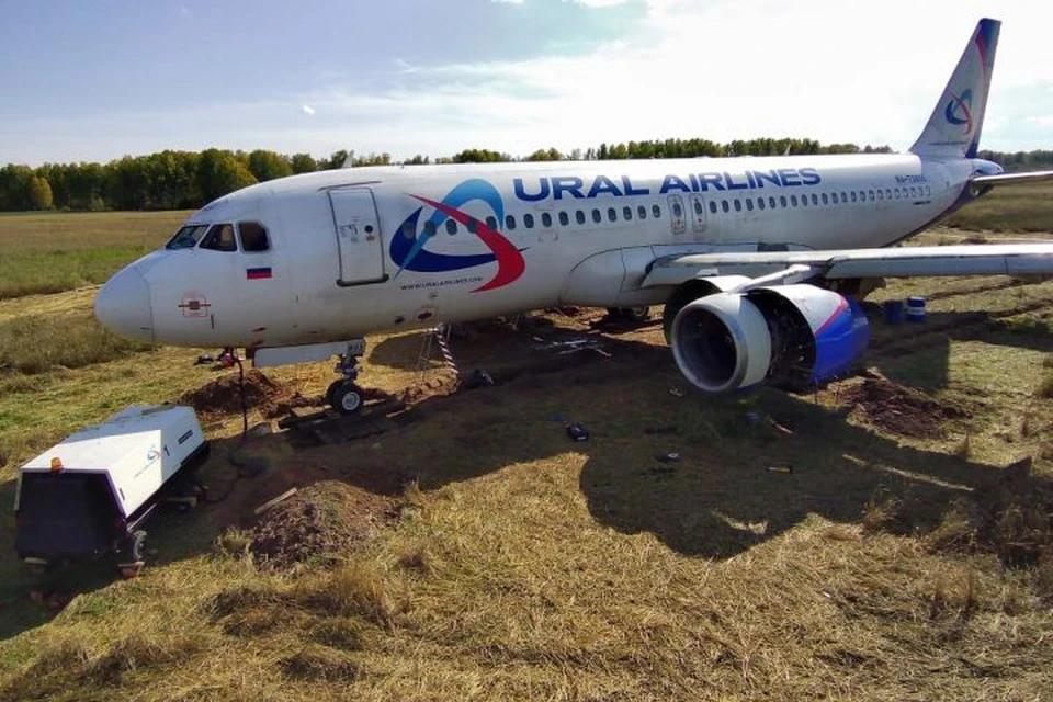12 сентября самолет летевший из Сочи в Омск экстренно приземлился на пшеничном поле под Новосибирском Фото: «Уральские авиалинии»