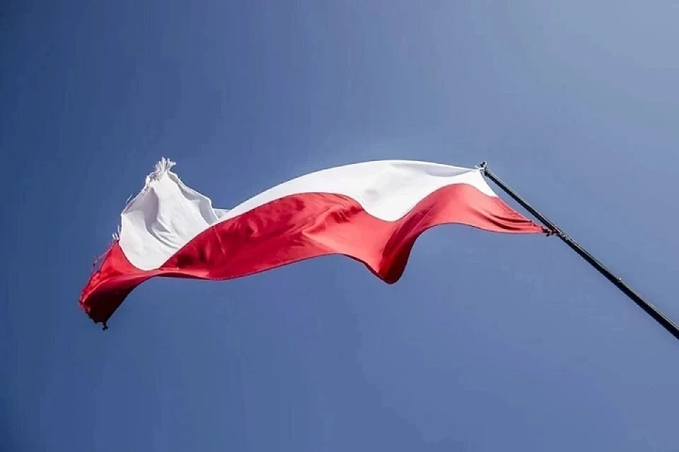 Оппозиционные объединения Польши подписали коалиционное соглашение. Фото: pixabay.com.