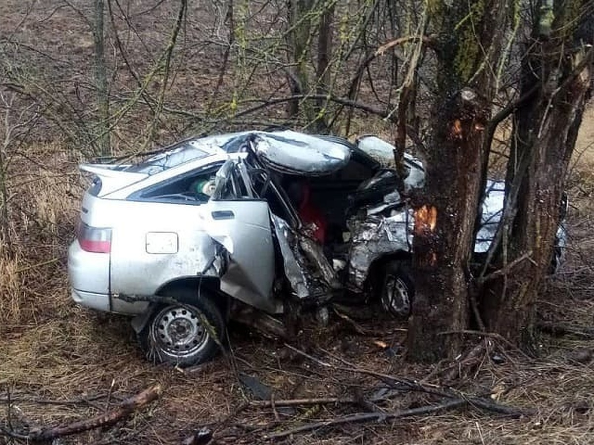 В Ростовской области машина столкнулась с деревом, погибли два человека -  KP.RU