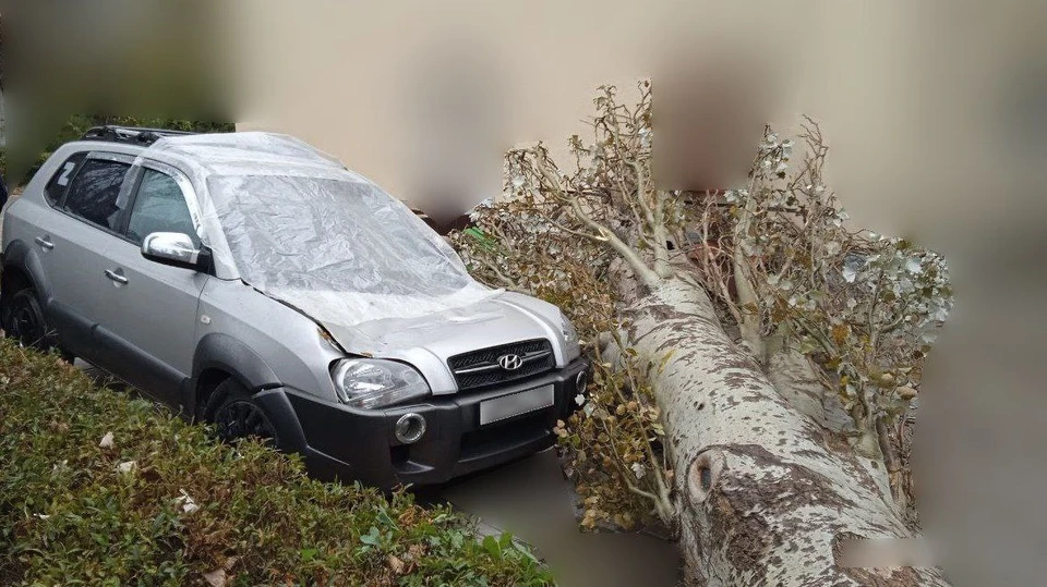 Машина получила серьезные повреждения ФОТО: Общественная палата Херсонской области