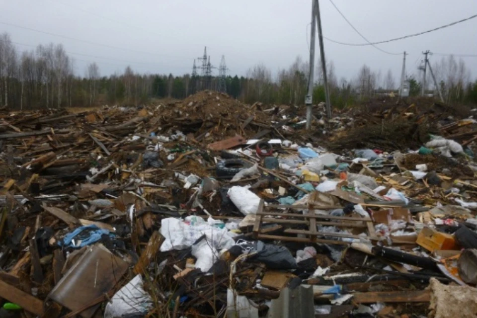 Со свалки вывезли 2500 кубометров мусора. Фото: vk.com/priroda_43