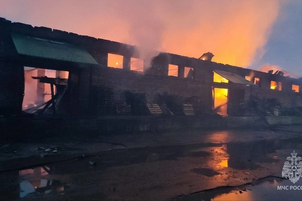 Пожарно-спасательные подразделения были привлечены по рангу вызова – Пожар № 2. Фото: МЧС России
