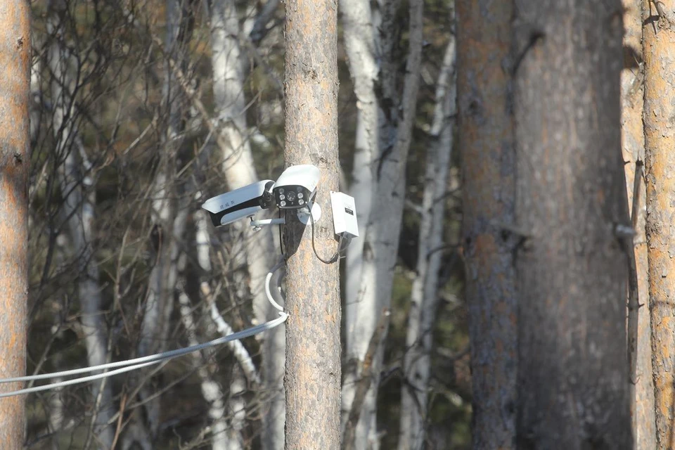 В Новосибирской области хотят установить камеры на незаконных свалках.