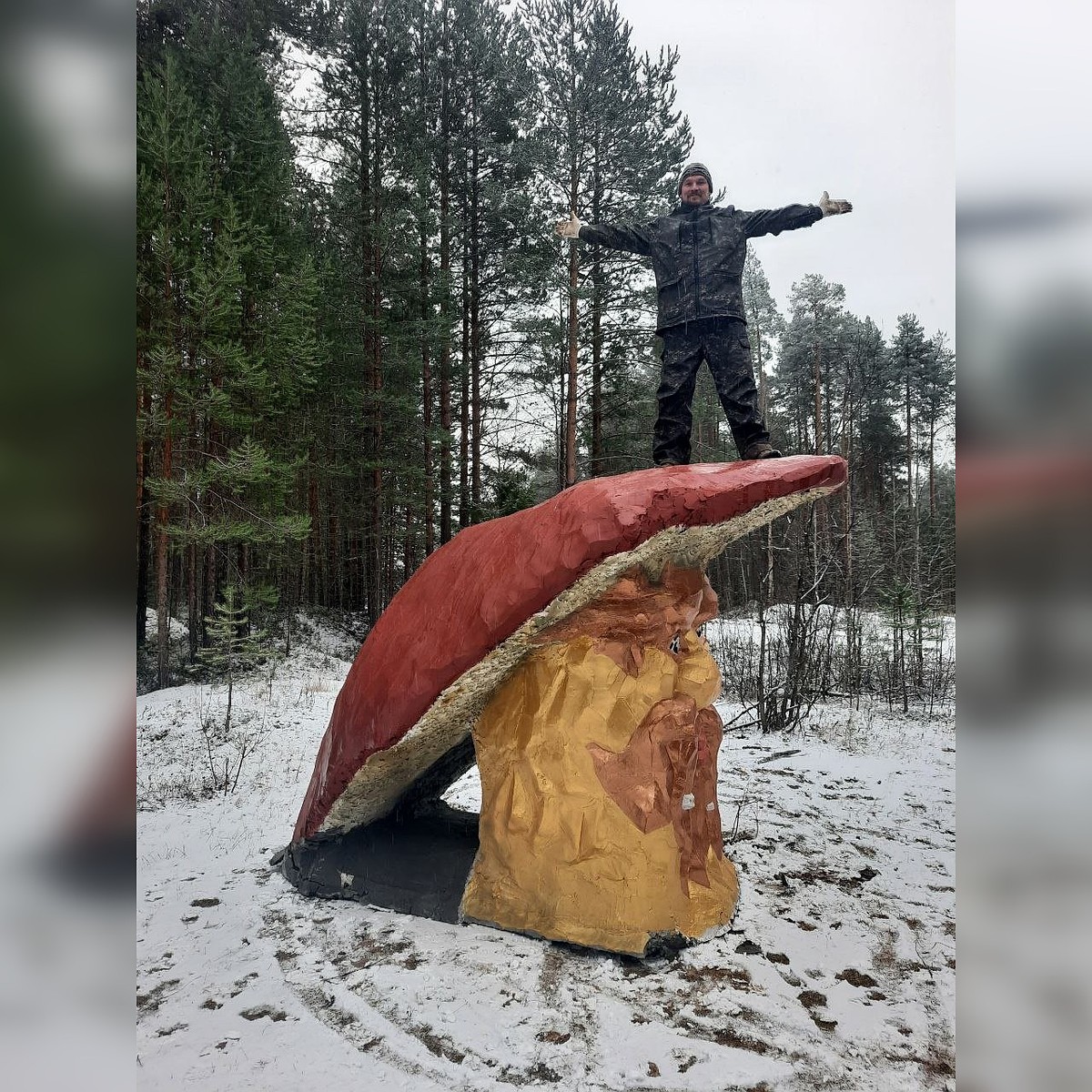 Главный гриб города: мастера Сыктывкара установили новый арт-объект в  посёлке Краснозатонском - KP.RU