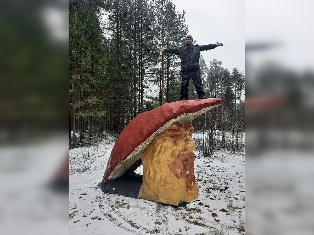 Главный гриб города: мастера Сыктывкара установили новый арт-объект в  посёлке Краснозатонском - KP.RU