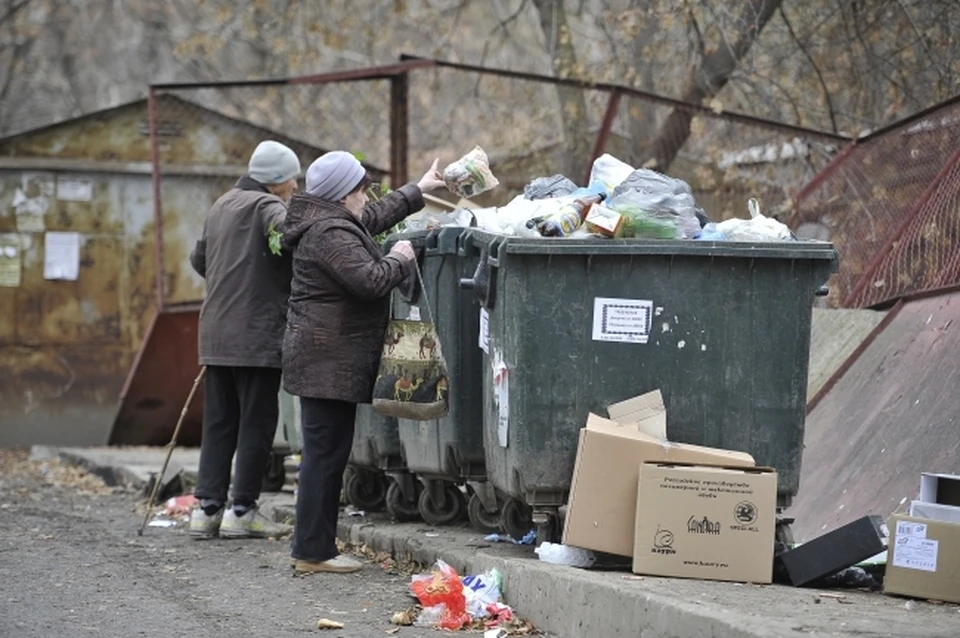 Регоператор заявляет, что не обязан вывозить растительный мусор на безвозмездной основе с контейнерных площадок многоквартирных домов