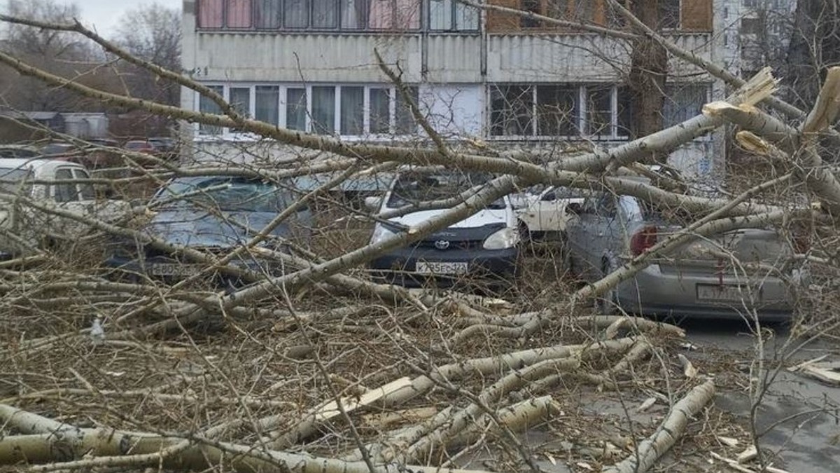 Как получить компенсацию за ущерб от стихии в Алтайском крае: возмещение  ущерба за поврежденный автомобиль, ураган в Барнауле 19 ноября 2023 - KP.RU