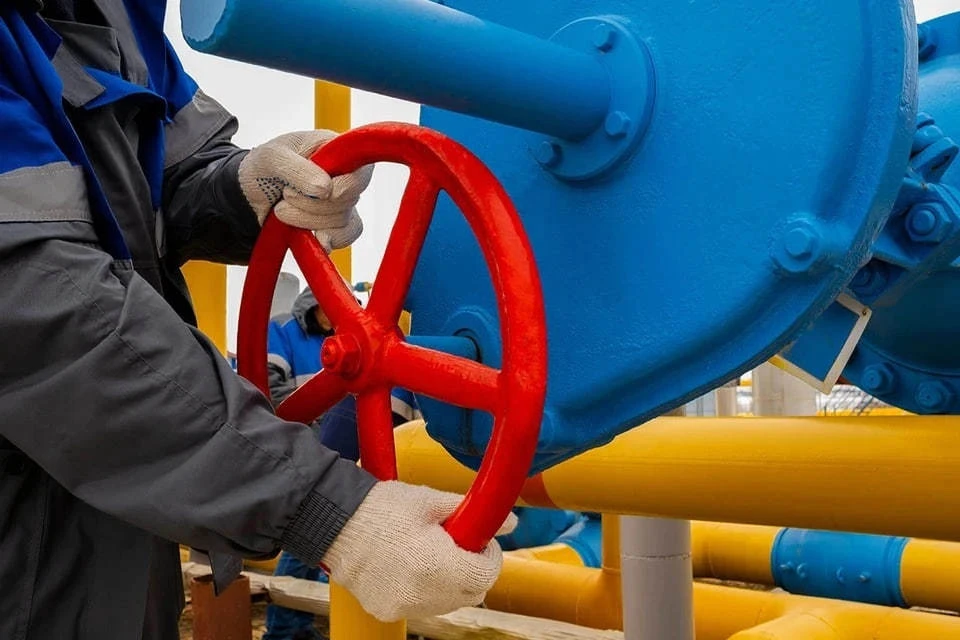 Посол Ерхов: РФ готова обеспечивать природным газом Турцию и третьи страны