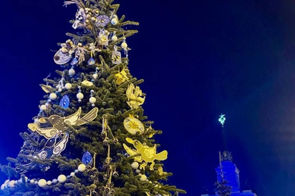 В Москве нарядили елку Новосибирской области (Фото: соцсети)