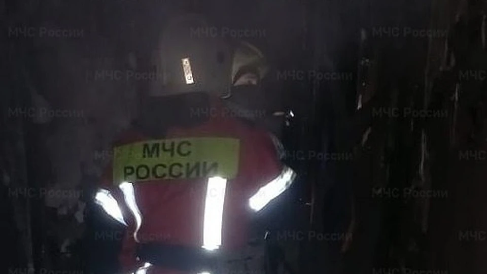 На Северной Мызе в Туле из горящего дома пожарные спасли семь человек