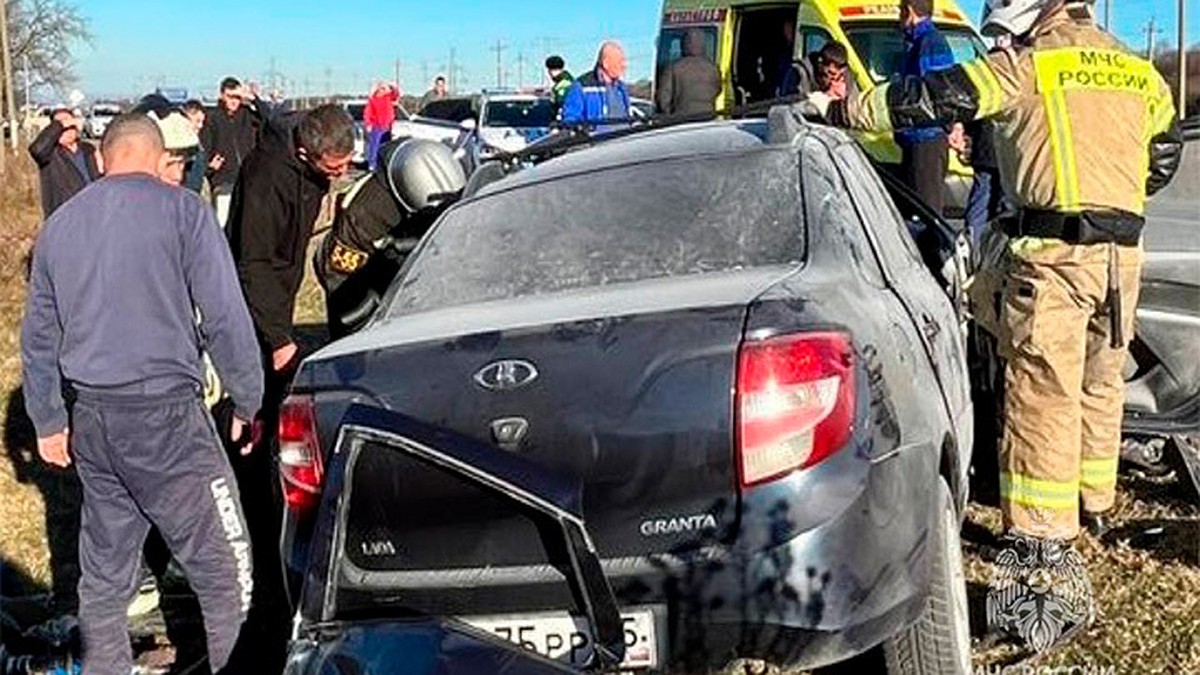 Пытался объехать лошадь»: четыре человека погибли в аварии в Северной Осетии  - KP.RU