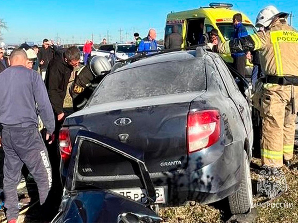 Пытался объехать лошадь»: четыре человека погибли в аварии в Северной  Осетии - KP.RU