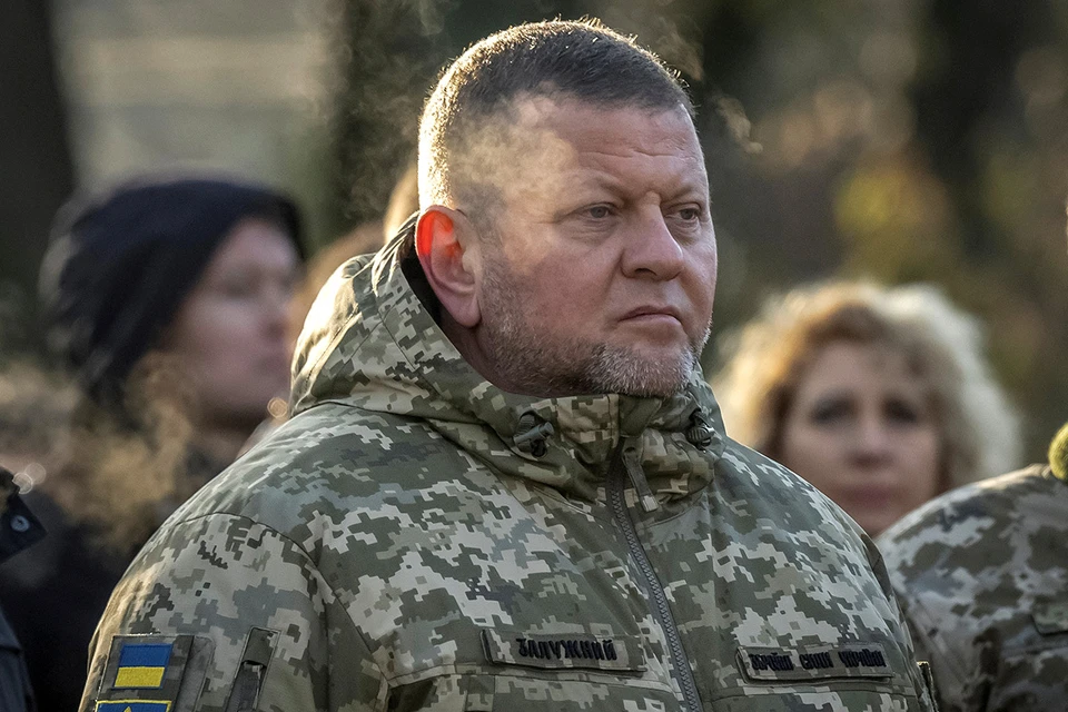 Украинским истеблишментом объявлен сезон охоты на главкома ВСУ Залужного.