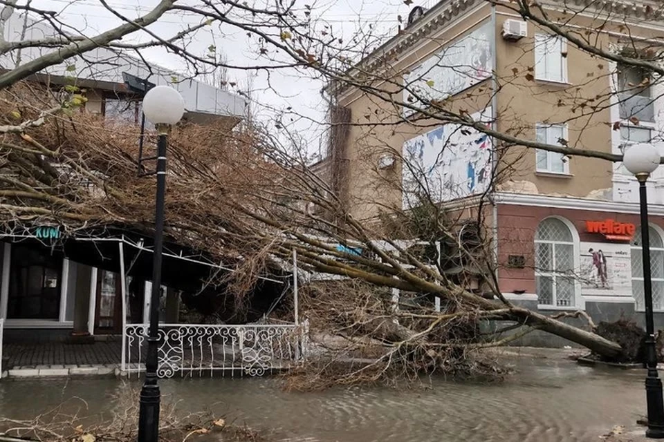 Последствия ураганного ветра в Бердянске. ФОТО: тг-канал "На самом деле в Запорожье"