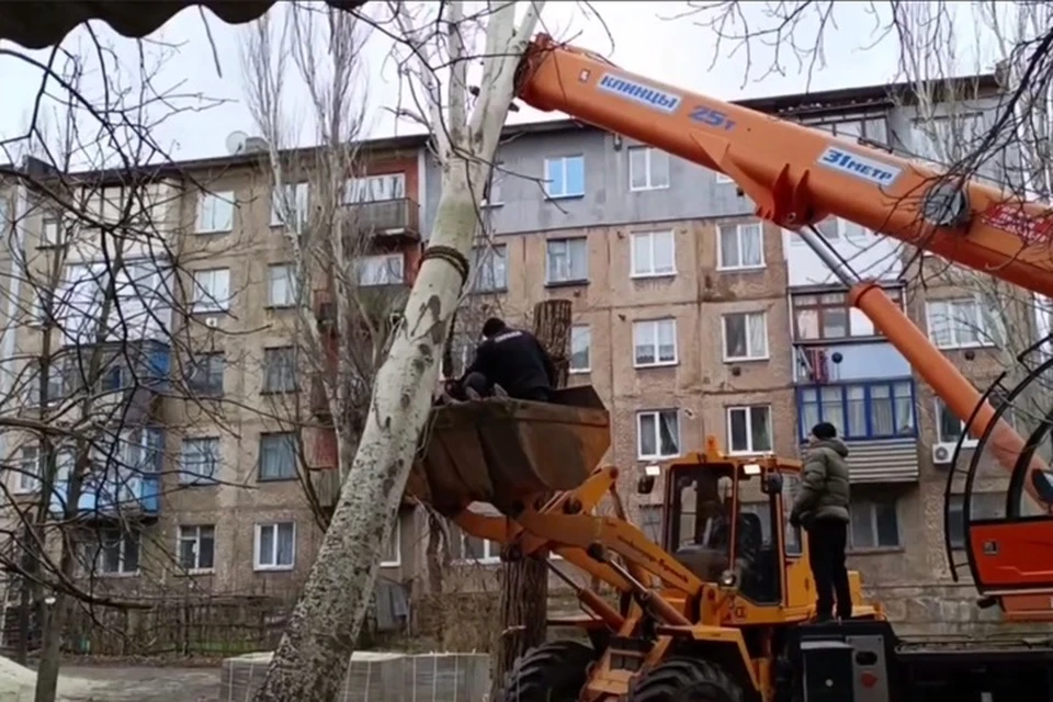 В Брянке дерево из-за ветра повалилось на подъезд многоэтажки. Фото - скрин из видео главы Брянки Евгения Морозова