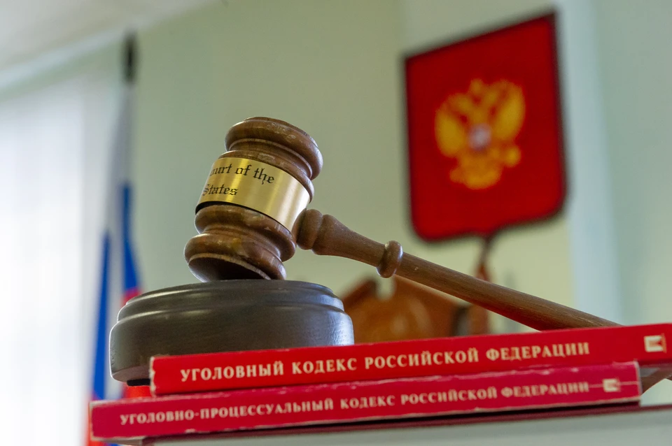 Суд отправил блогершу под арест.