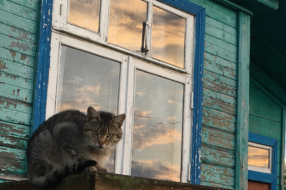 Было заведено уголовное дело.
