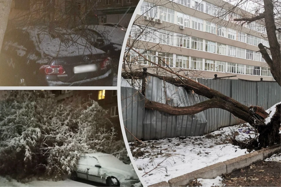 Фото: УГЗ Уфы