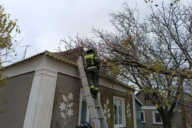 Восстановление идет под обстрелом ВСУ: В Херсонской области после урагана без света остаются свыше 15 тысяч человек