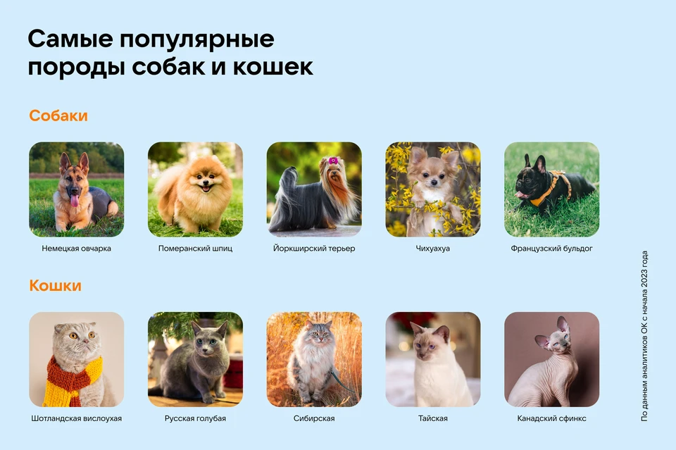 Фото: предоставлено «КП»