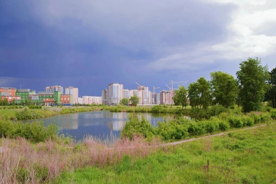 Теперь территорию возле пруда можно благоустроить. Фото: Катерина Велижанцева.