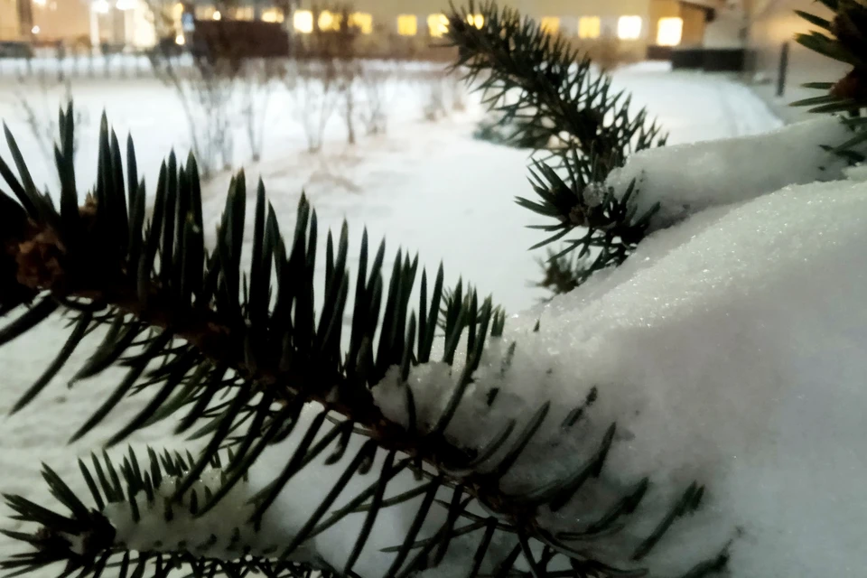 До -2 градусов мороза и без снега прогнозируют синоптики в Липецке 2 декабря