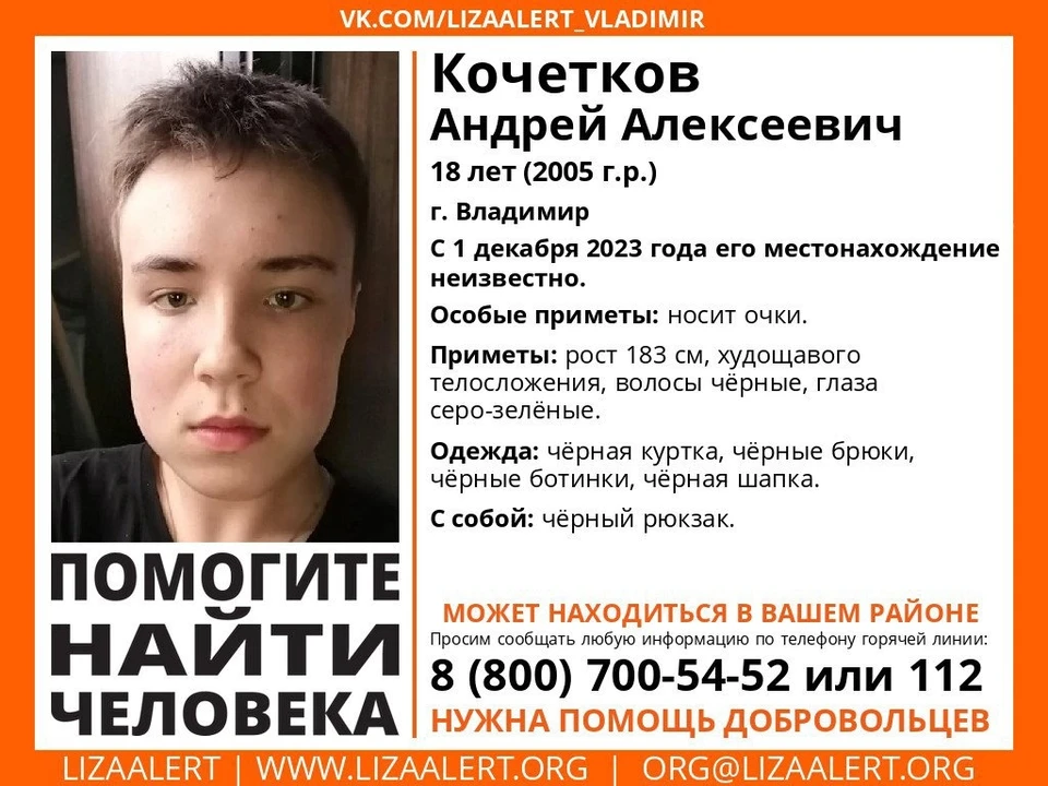 Фото: ориентировка ПСО "Лиза Алерт" Владимирской области