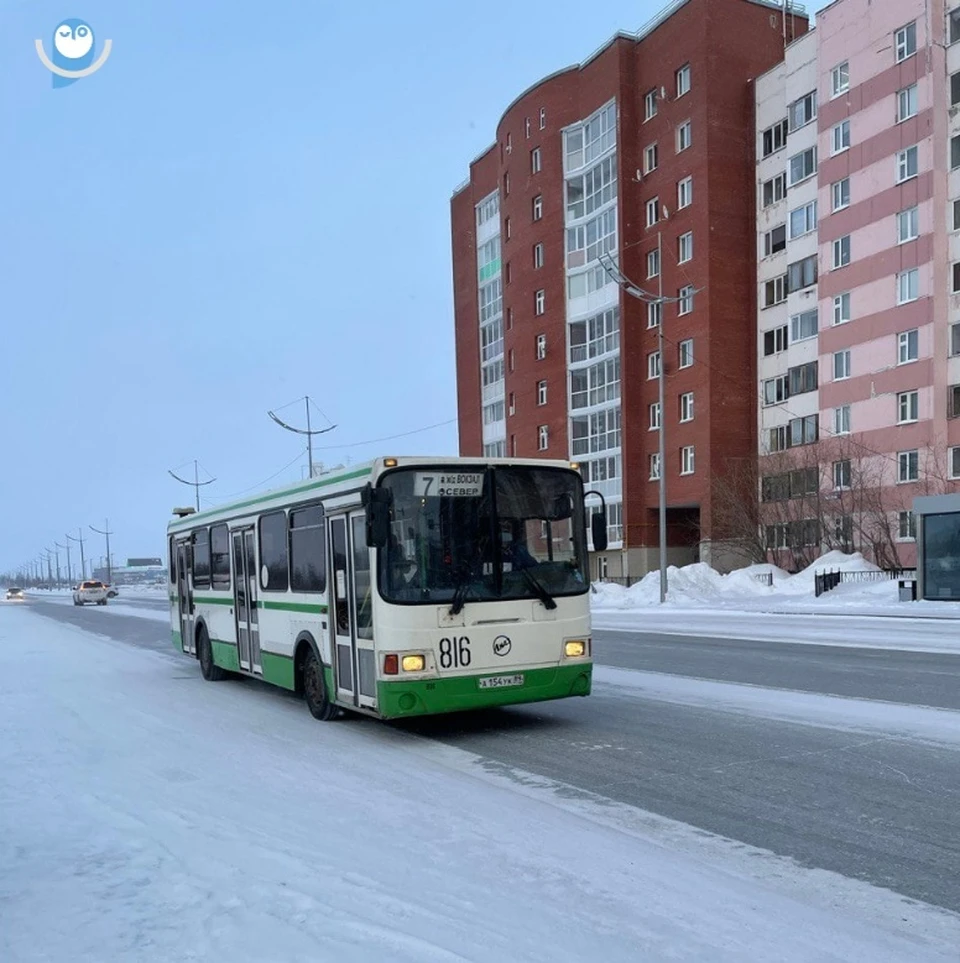 Проезд в общественном транспорте Нового Уренгоя подорожает на три рубля -  KP.RU