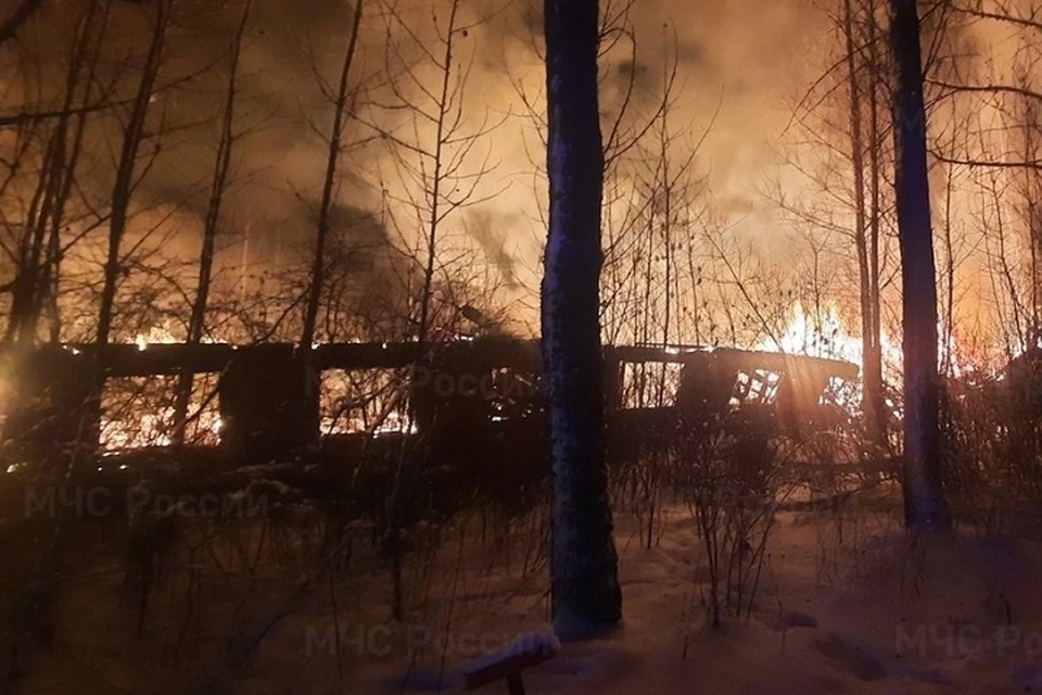По пожару в Левцово возбудили уголовное дело.