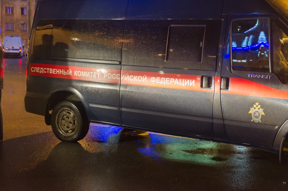 На женщину возбудили дело.