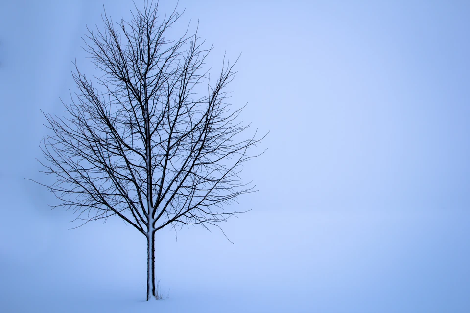 Фото: Photo by form PxHere