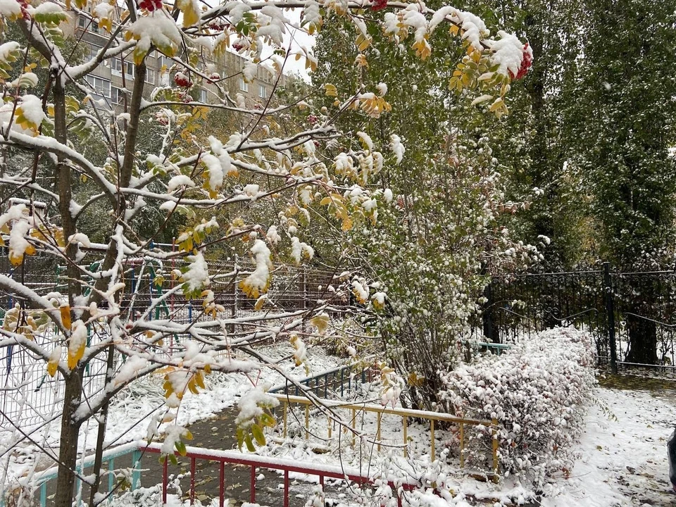 Фото из архива "КП".