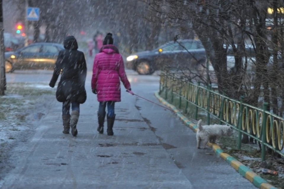 Выпадут осадки в виде мокрого снега, возможен дождь.